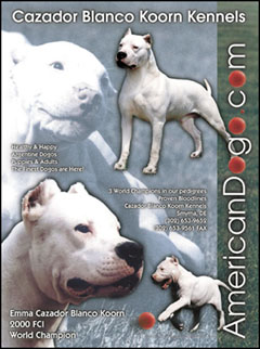 Koorn Kennel Ad